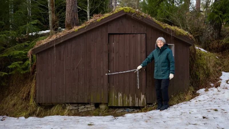 Woman Opens Shed Door After Years – What She Finds Sleeping Inside Leaves Her Frozen